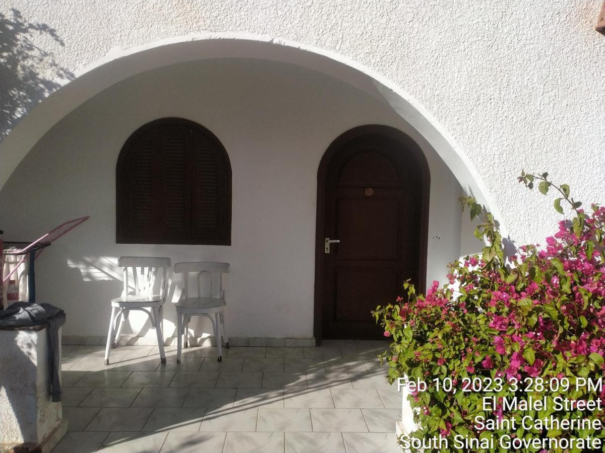 Nook Hostel Дахаб Екстериор снимка