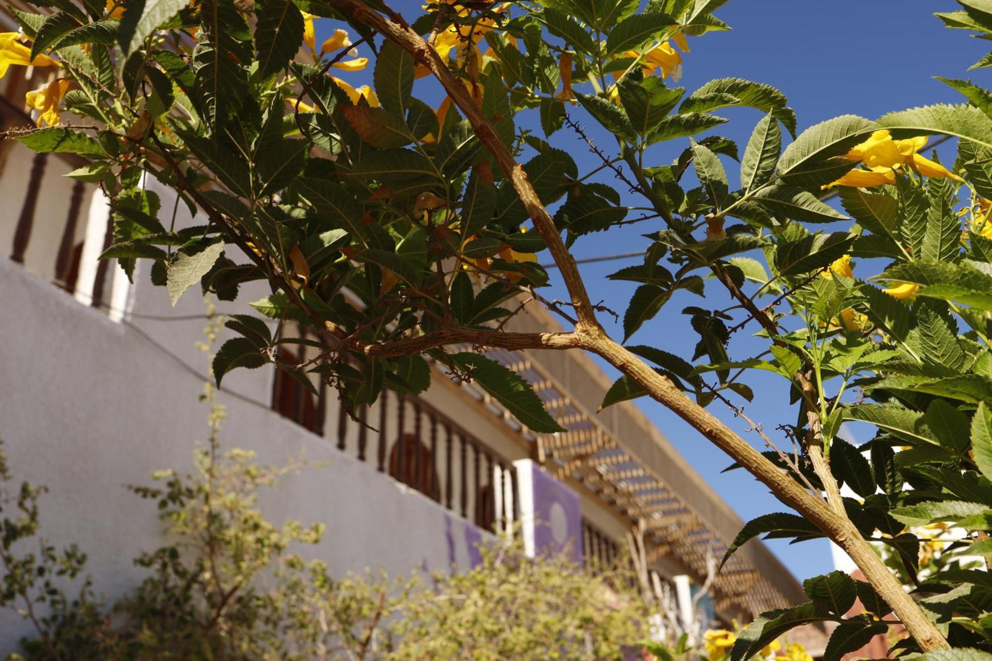 Nook Hostel Дахаб Екстериор снимка