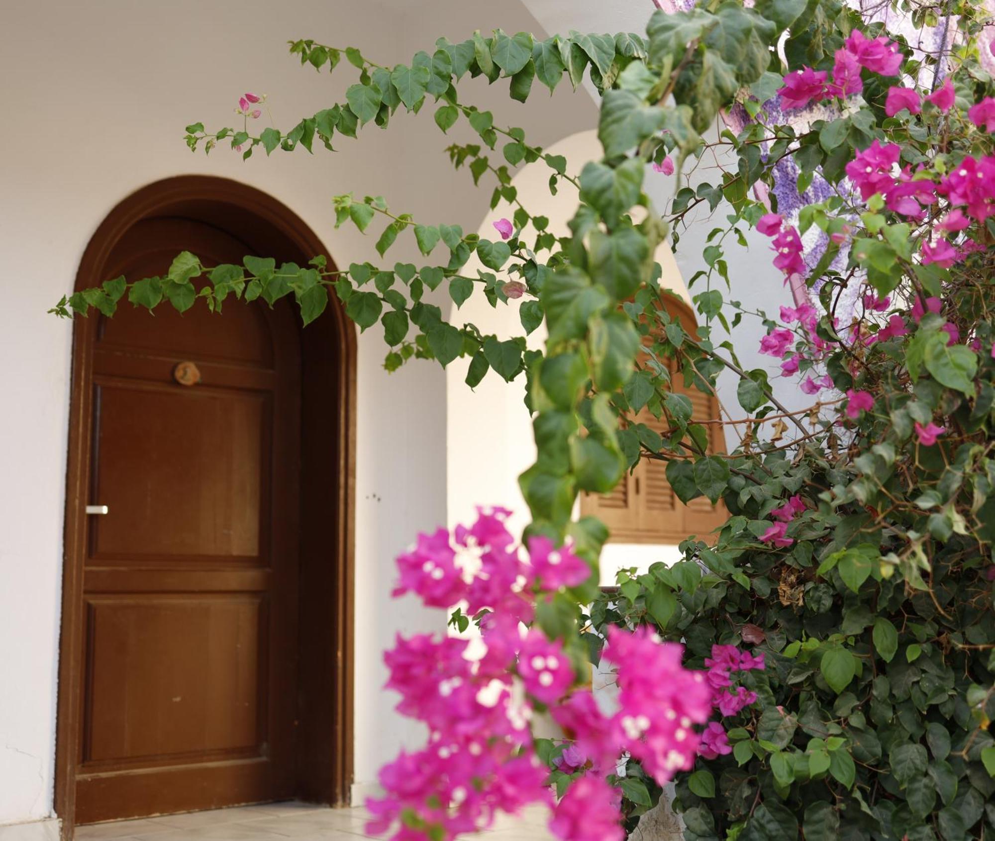 Nook Hostel Дахаб Екстериор снимка